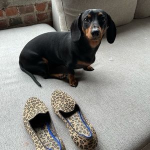 ⭐️ DISCONTINUED / UNICORN Rothy’s Leopard Spot Loafers Size 6.5 ⭐️